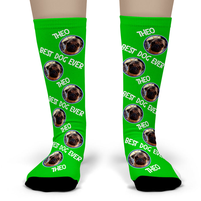 Custom Dog Photo Socks – Personalized Pet Face Socks with Name & Text