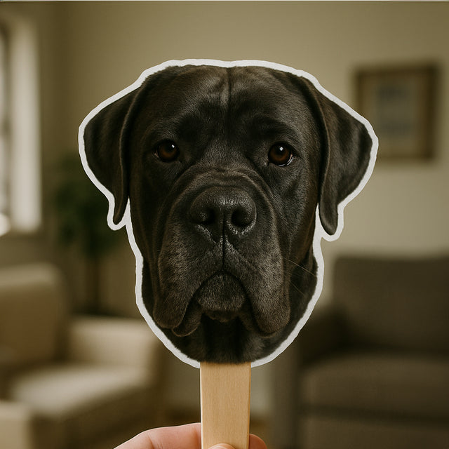 Bleu Reign - Happy Customer - Face Stick Order